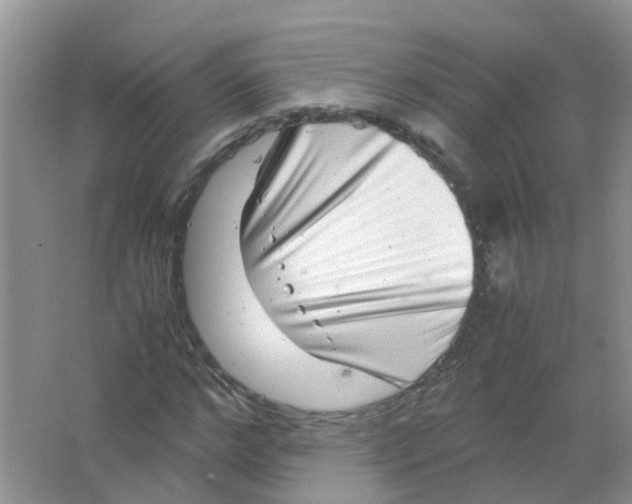 X0000063500968200602172114