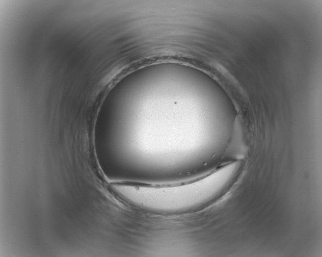 X0000063500969200602172114