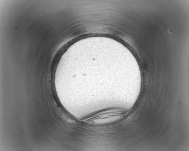 X0000063500971200602172114