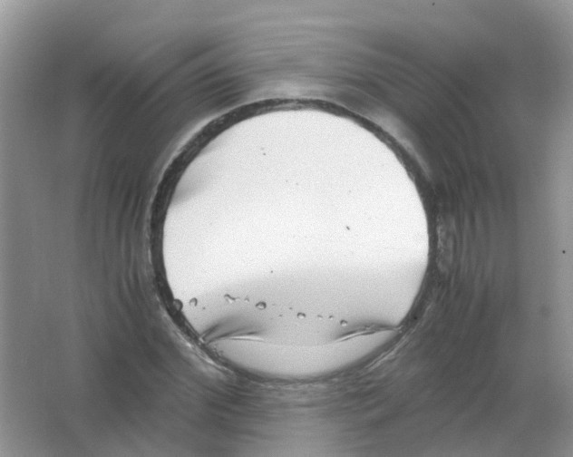 X0000063500972200602172114