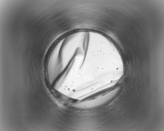 X0000063500976200602172114