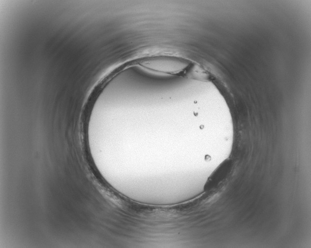 X0000063500981200602172114