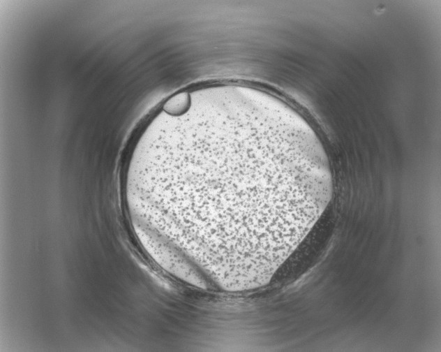 X0000063500982200602172114