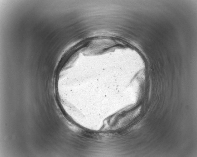 X0000063500987200602172114