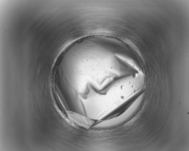 X0000063500989200602172114