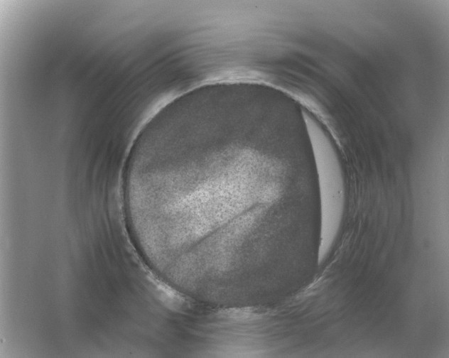 X0000063500990200602172114