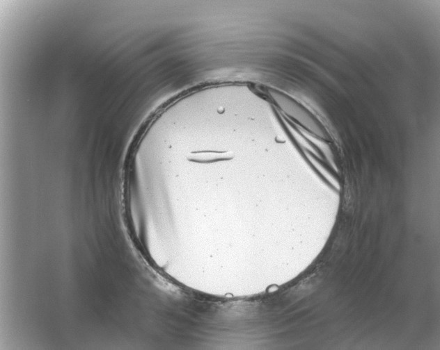 X0000063500992200602172114