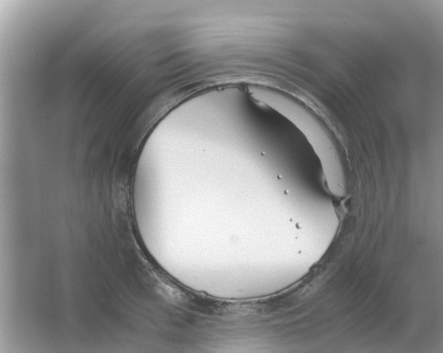 X0000063500993200602172114