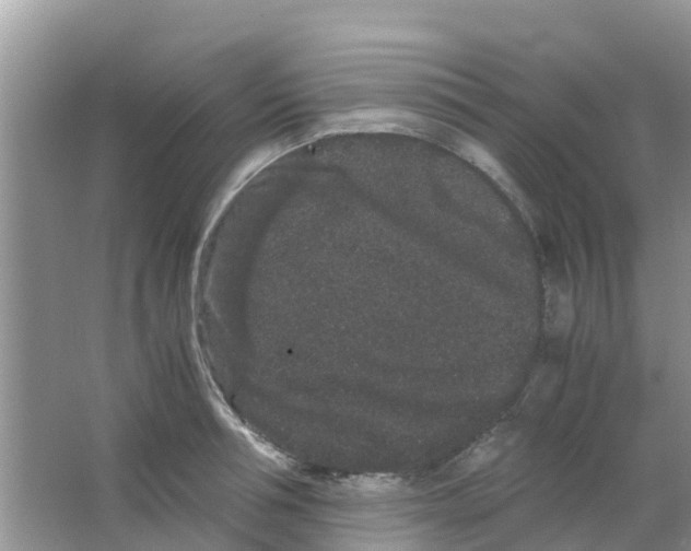 X0000063500994200602172114