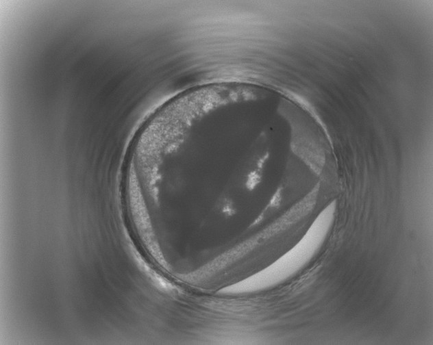 X0000063500995200602172114