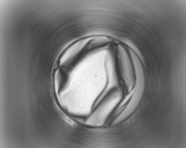 X0000063500996200602172114