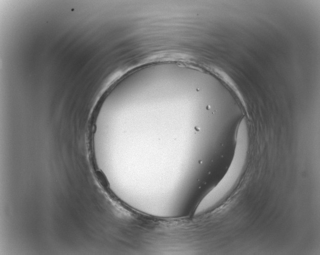 X0000063500997200602172114