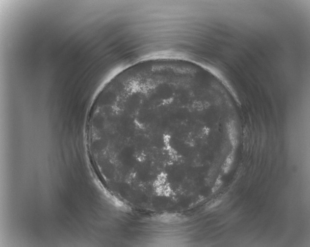 X0000063500998200602172114