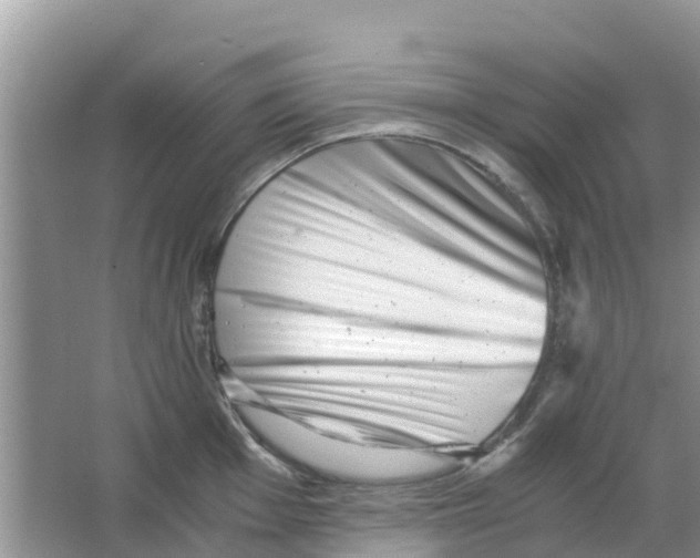 X0000063501001200602172114