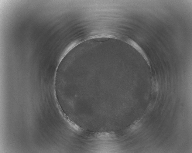 X0000063501002200602172114