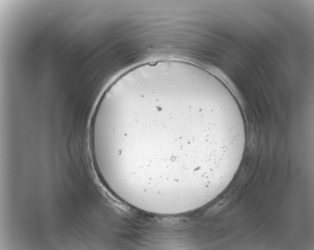 X0000063501004200602172114