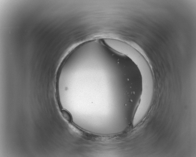 X0000063501005200602172114