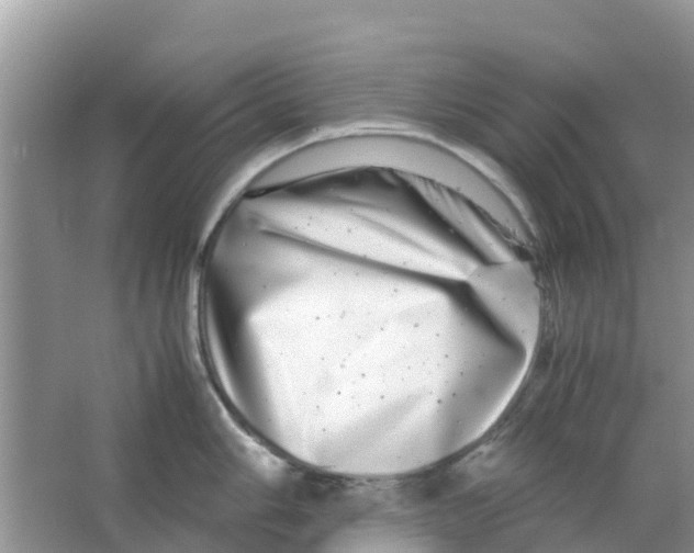 X0000063501006200602172114