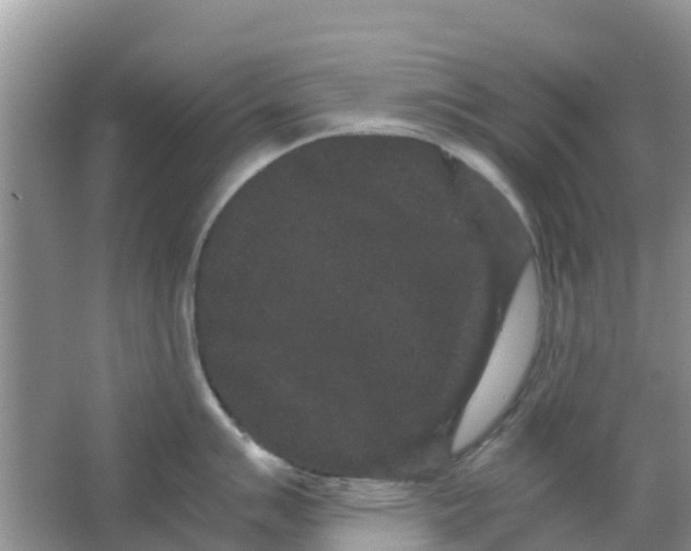 X0000063501007200602172114