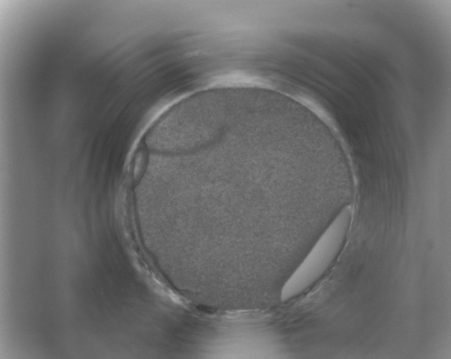 X0000063501008200602172114