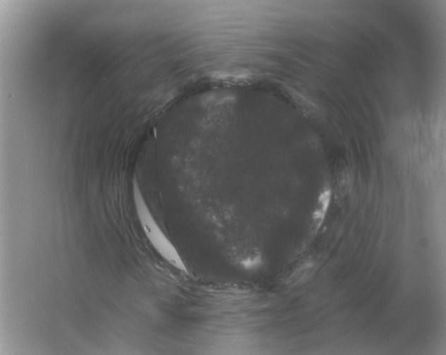 X0000063501010200602172113