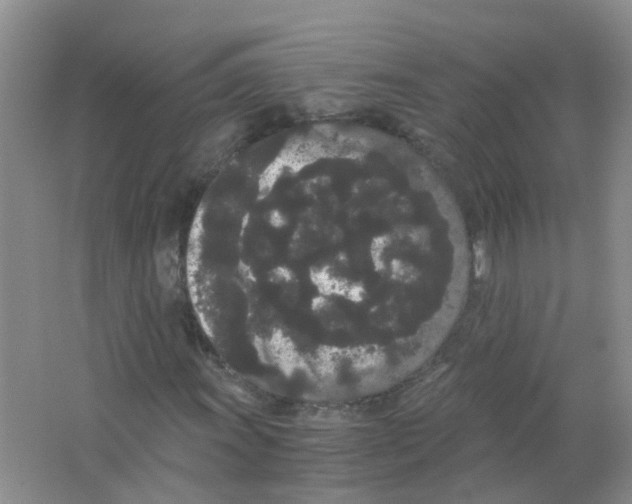 X0000063501011200602172113