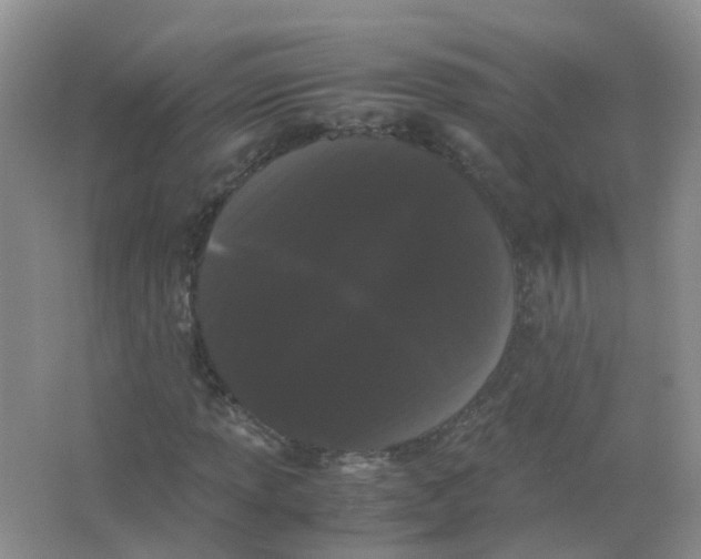 X0000063501013200602172113