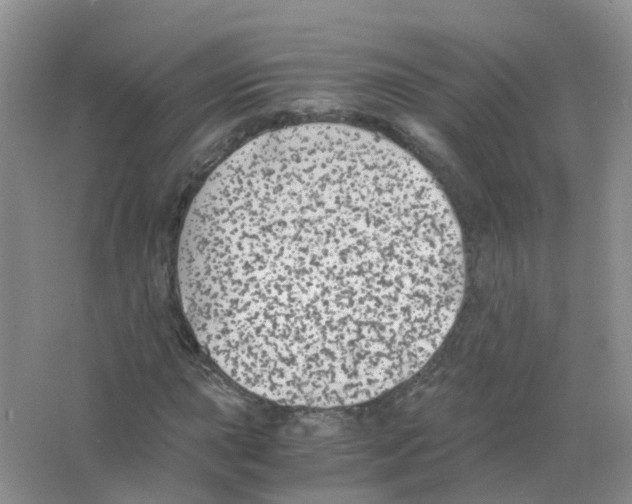 X0000063501015200602172113