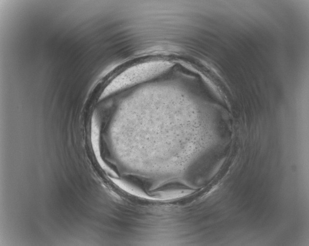 X0000063501018200602172113