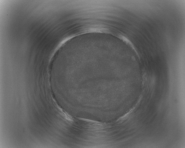 X0000063501019200602172113