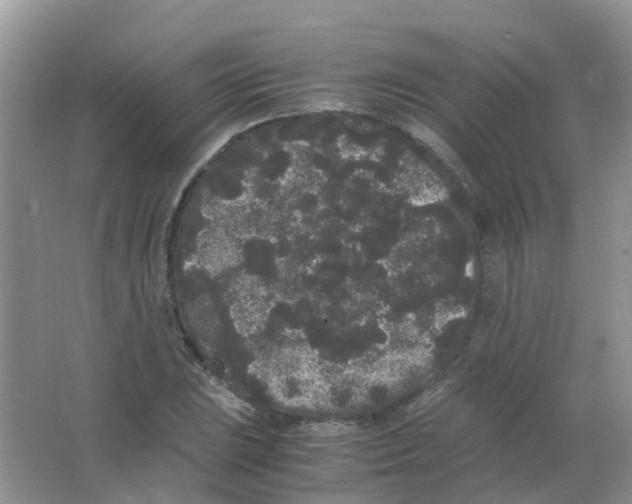 X0000063501023200602172113