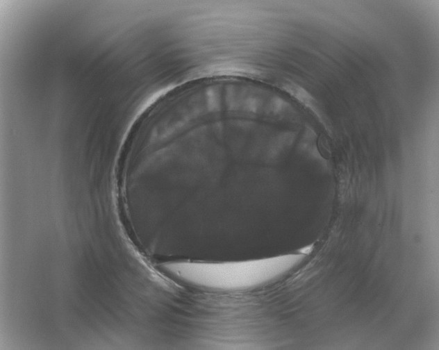 X0000063501024200602172113