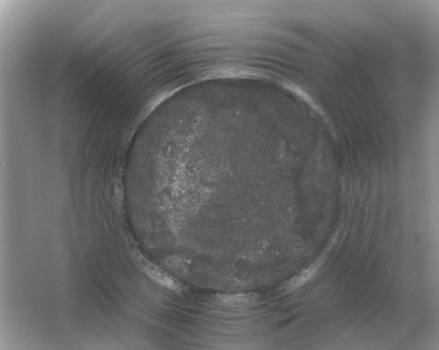 X0000063501025200602172113