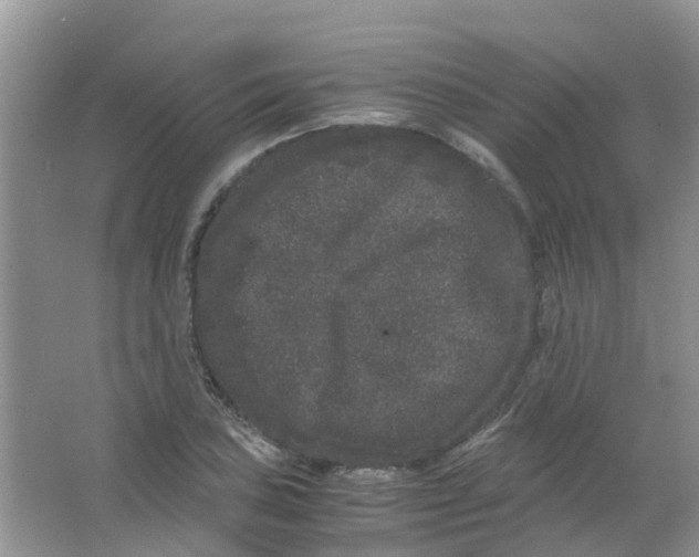 X0000063501027200602172113