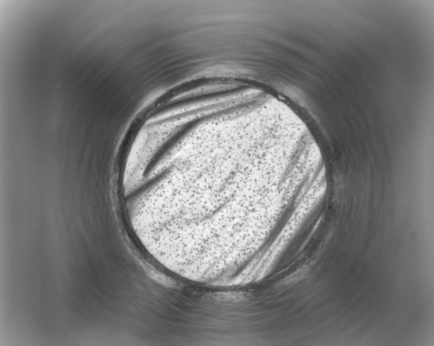 X0000063501029200602172113