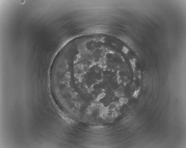 X0000063501031200602172113