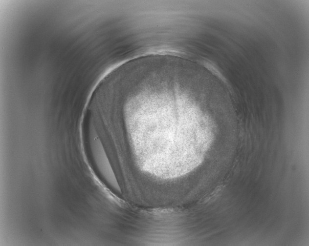 X0000063501032200602172113