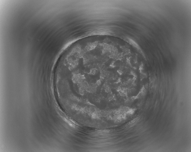 X0000063501035200602172113