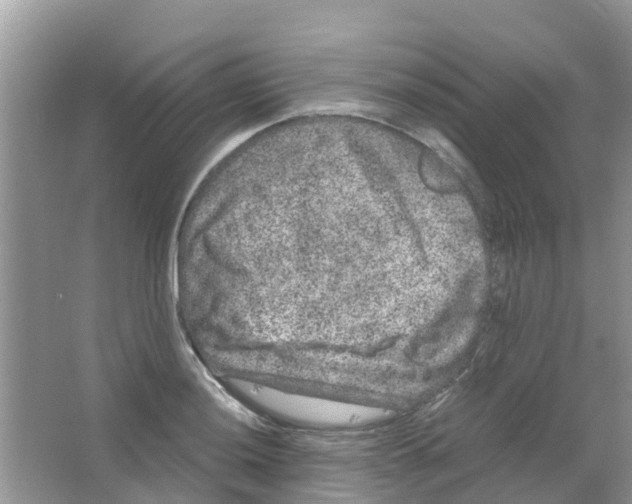 X0000063501036200602172113