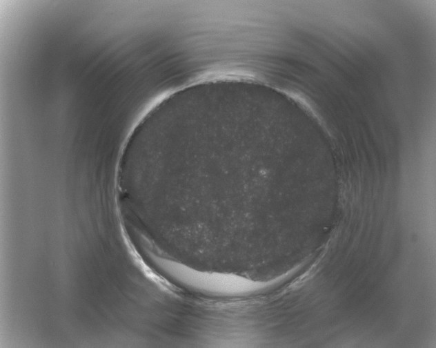 X0000063501038200602172113