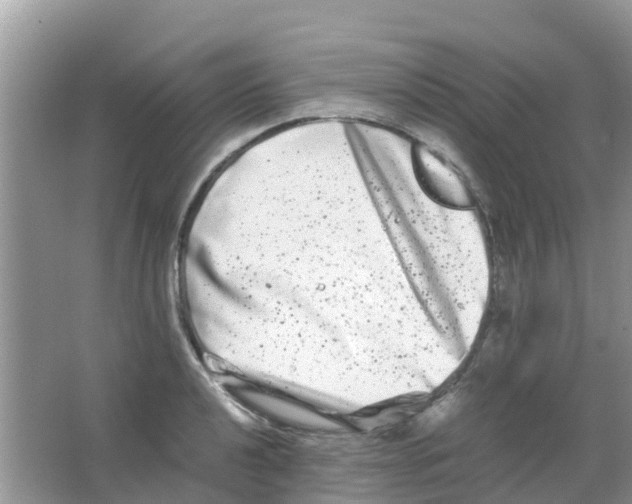 X0000063501040200602172113