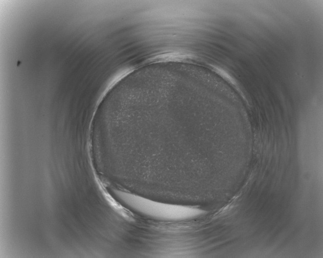 X0000063501042200602172113