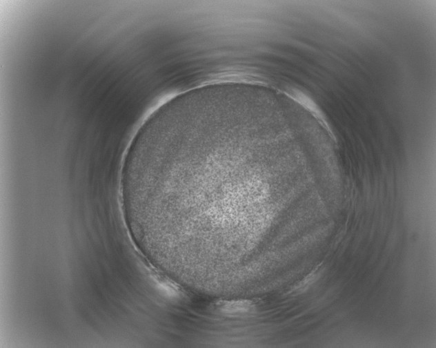 X0000063501043200602172113