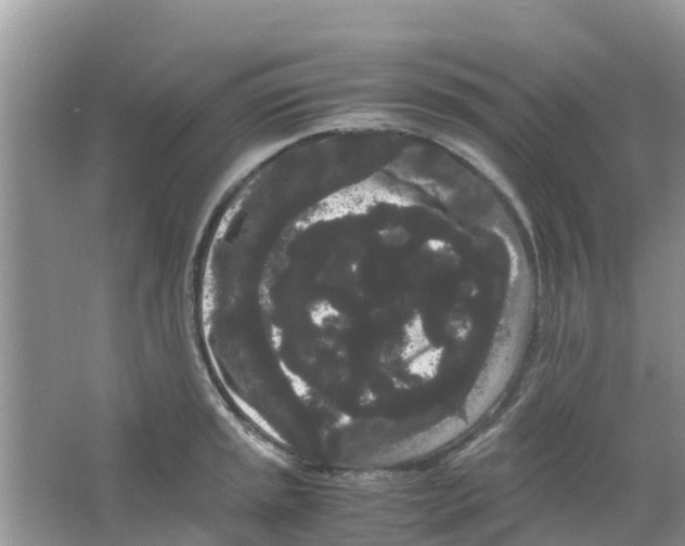 X0000063501045200602172113