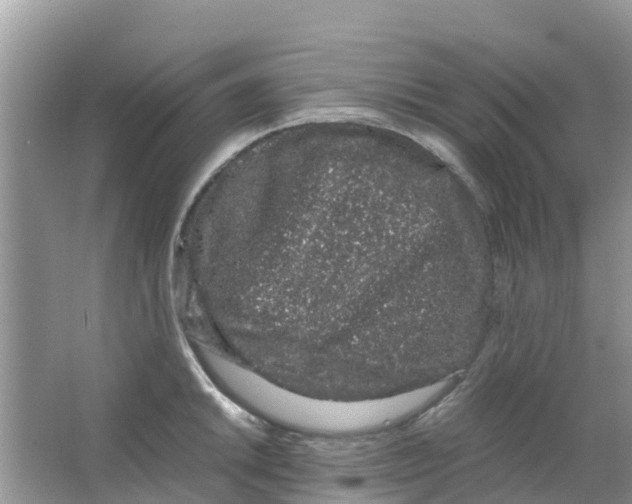 X0000063501046200602172113