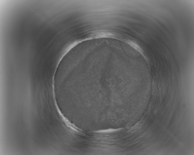 X0000063501047200602172113