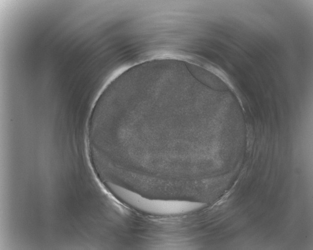 X0000063501048200602172113