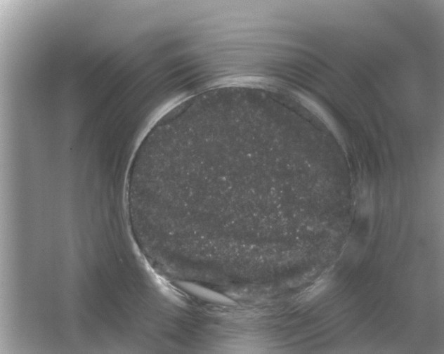 X0000063501050200602172113