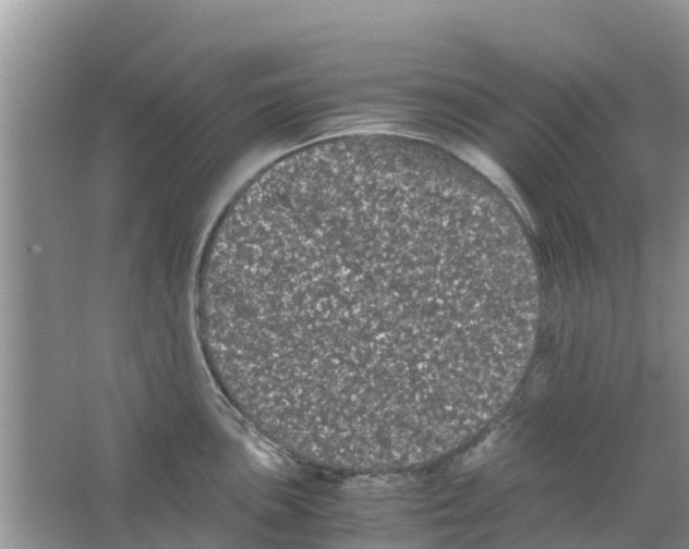 X0000063501051200602172113