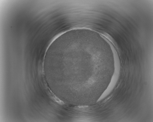 X0000063501052200602172113